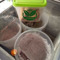 Blueberry vegan ice cream n waffle cone at Hang Over Takeaways in Pokhara