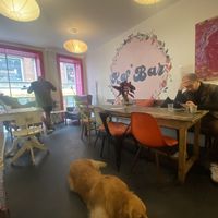   at Kaf' Bar in Copenhagen