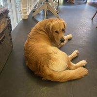   at Kaf' Bar in Copenhagen