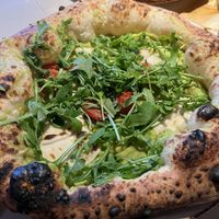   at 60 seconds to Napoli in Dresden