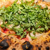  at 60 seconds to Napoli in Dresden