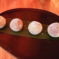Mochis  at Iroko in Mallorca