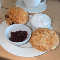  at Burridge's in Torquay