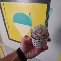 Cookie butter oreo  at Scoops in Los Angeles
