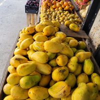 Mangoes at Mercado Miguel Hidalgo in Tijuana