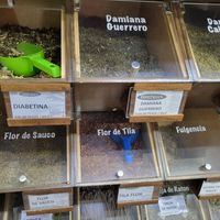 Herbs at Mercado Miguel Hidalgo in Tijuana