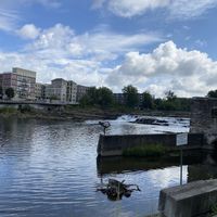   at Pingala Cafe in Burlington