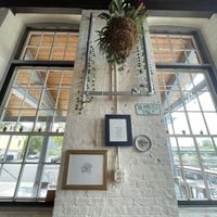 Cute wall  at Pingala Cafe in Burlington