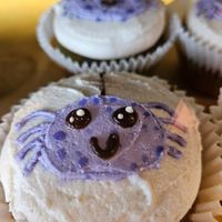 🕷 at Pingala Cafe in Burlington