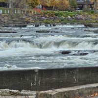  at Pingala Cafe in Burlington