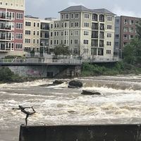  at Pingala Cafe in Burlington