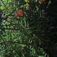 at Cajoá Cozinha in Porto Seguro