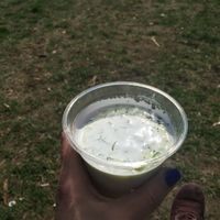 Vegan tarator to die for at Zelen Bio in Sofia