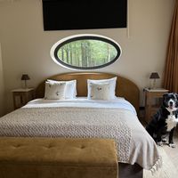   at HOTEL BENT Restaurant in Oisterwijk