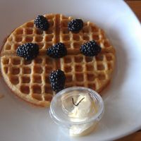 Vegan waffle with blackberries and lemon drizzle! at TIABI Coffee & Waffle Bar - Maryland Pkwy in Las Vegas