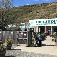  at The Tree Shop Garden Centre and Cafe in Cairndow