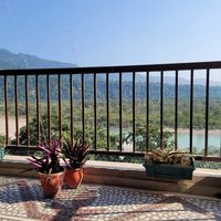 View from the table at The Sitting Elephant in Rishikesh