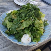 Der grüne Salat at Taatjem Deel in Sylt