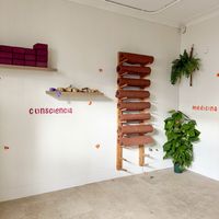 .  at Micelio Coffee & Brunch in Mallorca