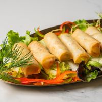 Vegetarische loempia at Chopras Indian Restaurant in The Hague