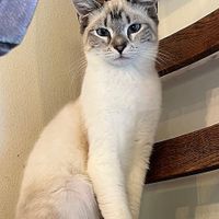  at Catnip Café and Lounge in Plant City