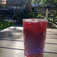 Hibiscus kombucha at Swell Nourished Cafe  in Crescent Head