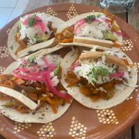 Vegan taco at Vegetariano Mar y Tierra in Tulum