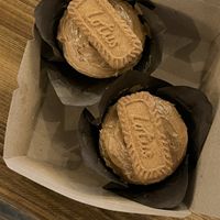   at Arles in Campeche