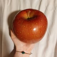 Big apple (500¥) at Juice Stand Bubbles - Shibuya Scramble Square in Tokyo