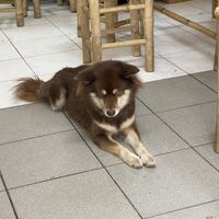   at Tuệ Đăng Quang Vegan Restaurant in Ho Chi Minh City