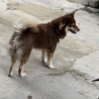   at Tuệ Đăng Quang Vegan Restaurant in Ho Chi Minh City