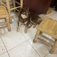   at Tuệ Đăng Quang Vegan Restaurant in Ho Chi Minh City