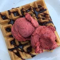 Vegan waffle with raspberry gelato at Ice Queen Gelato in Athens