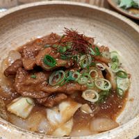 Stir fried soy meat with yakiniku sauce at Paprika Shokudo Vegan in Osaka