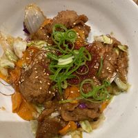 Rice with soy meat and teriyaki sauce at Paprika Shokudo Vegan in Osaka