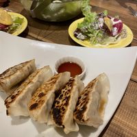 Salad and gyoza  at Paprika Shokudo Vegan in Osaka