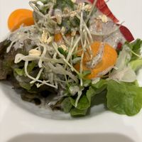   at Paprika Shokudo Vegan in Osaka