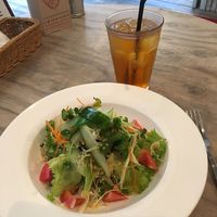 Small green salad, 700yen at Paprika Shokudo Vegan in Osaka