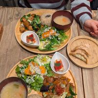 Bunter Teller einmal mit Tempeh und einmal mit Soja-Fleisch plus Gyoza at Paprika Shokudo Vegan in Osaka