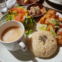 Lunch teriyaki temphe at Paprika Shokudo Vegan in Osaka