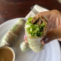 Yum on the Spring Rolls  at One Veg World in West Covina
