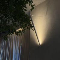   at CCAF Cacao Apothecary Firm in Riga