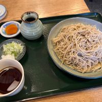 Cold buckwheat soba (vegan)  at Sobasho Nakaya in Hida