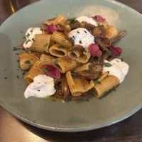 Vegan Mushroom Rigatoni ( variety of mushrooms )   at Leo in Annapolis