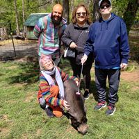 They provide scratchers for the pigs! at Ross Mill Farm Inc in Jamison