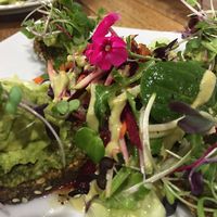 Avo smash! at New Earth Cafe in Coolum Beach