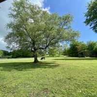 Beautifully surroundings 🌻  at Perdida in Chard