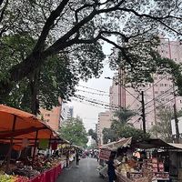 Abre até em dias chuvosos at Feira Livre da Rua Santos in Londrina