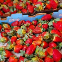 Morangos at Feira Livre da Rua Santos in Londrina