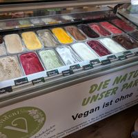 vegan ice cream case, 19 flavors! at The Green Garden in Salzburg